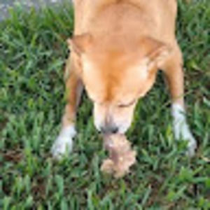 Meet your Posher, Mike